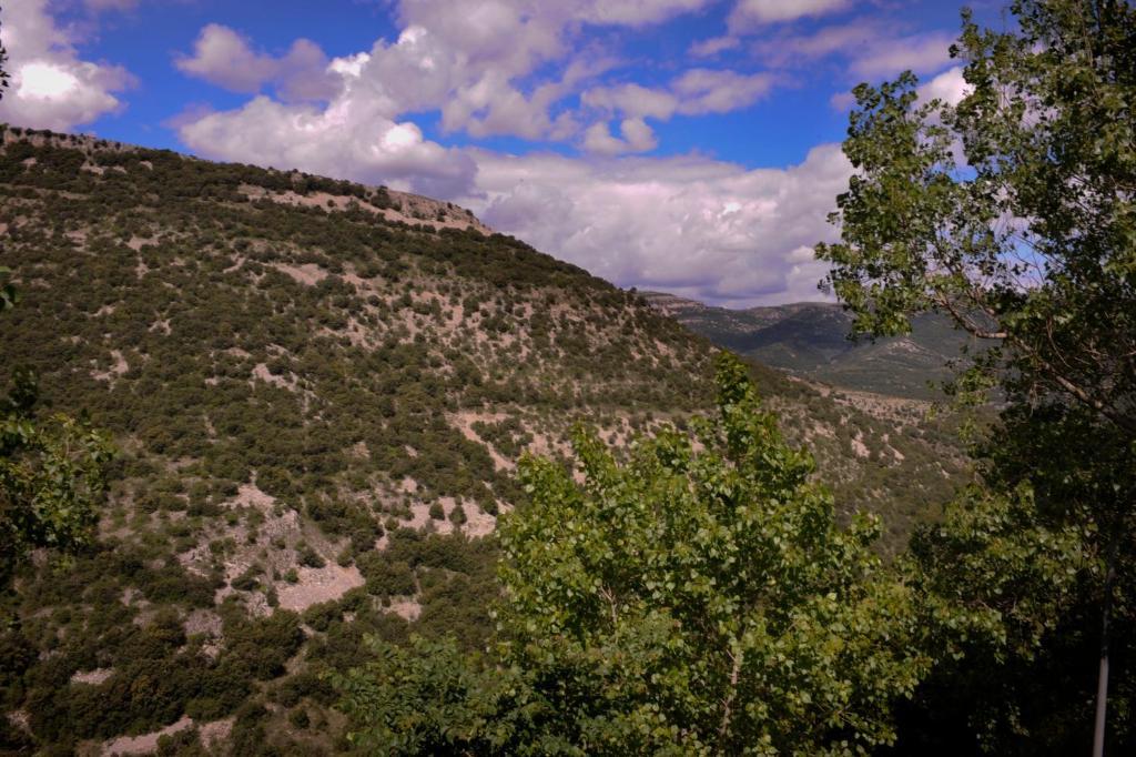 Complejo Rural La Glorieta Apartment Catí Cameră foto